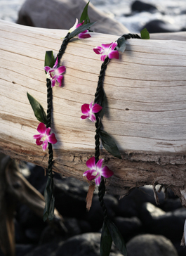 ti leaf with 6 flower lei